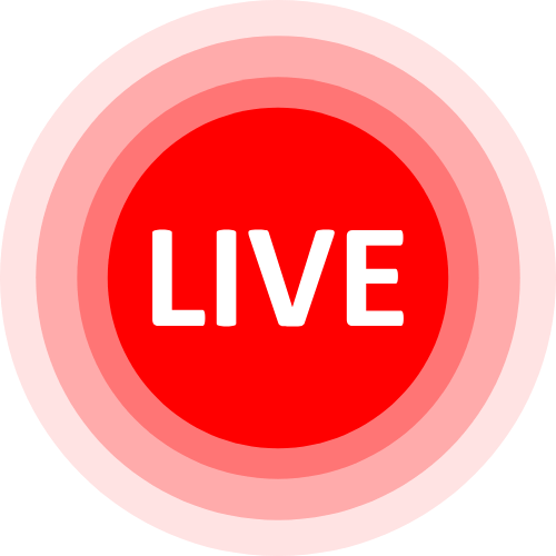 Hammster Live Porno